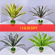 12头巴西木黄铁树叶子热带仿真植物虎皮兰 植物墙配材龙舌兰