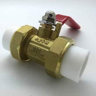 ��h�ŘI�S�ҹ���PPR�~���y  �p��ӷ��w�˽� PPR�p�������y����