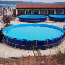 袋状塑制品;其他塑胶容器;渔业机械