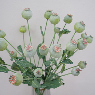 ��ʽ��@����������ڹ������Ҿ��bٻ�ˇ�{�����W�zӰ�������l