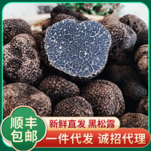 鲜黑松露散装1000g云南特产食用块菌猪拱菌新鲜黑松露一件代发