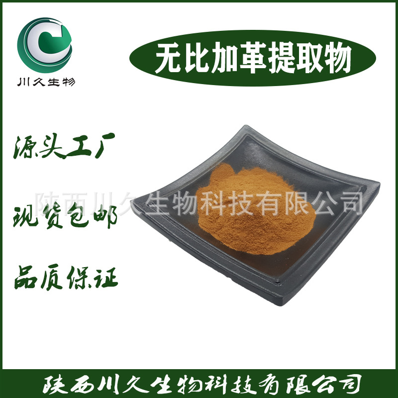 现货 无比加革提取物  川久生物 多规格  无比加革粉 水溶性粉