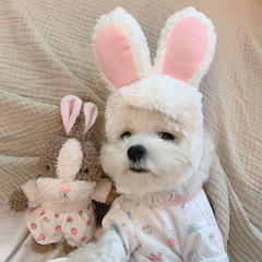 Ins New Korean Rabbit Squirrel Sleeping Companion Cute Pet Toy Foreign Trade Original Single Pet Sound Toy