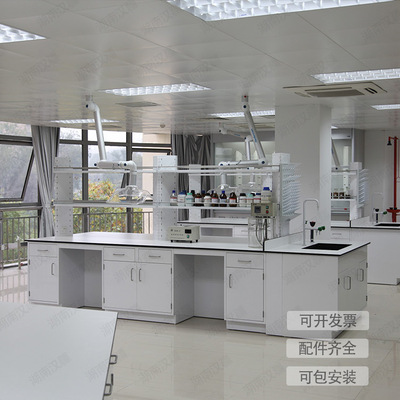 Bench Hospital Drug cabinet School laboratory Bench Acid alkali resistance reagent cupboard wholesale