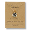 Zodiac signs, necklace for beloved, chain for key bag 