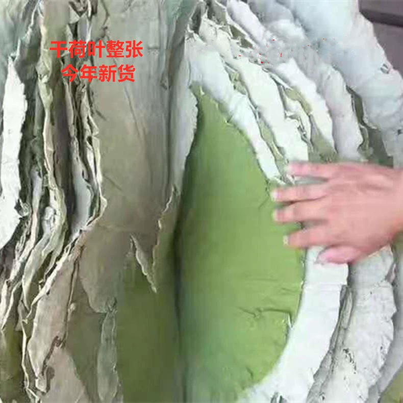 Новинка сезона: сушеные листья лотоса, крупные листья для приготовления блюд из курицы и риса, измельченные листья лотоса оптом, цена договорная, высококачественные сушеные листья лотоса.