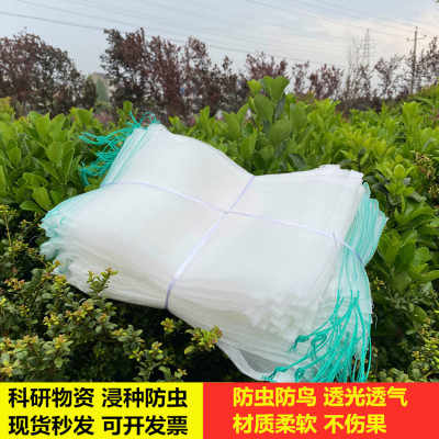 尼龙网袋 防果蝇袋拉绳植物保护网、晒种袋 浸种网袋 水族过滤袋|ms