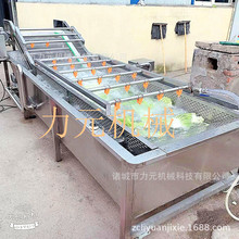 大枣气泡喷淋清洗机 绿叶菜果蔬清洗机 鱼腥草龙须菜高压清洗设备