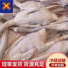 鱼类;鸡肉类;鸭肉类