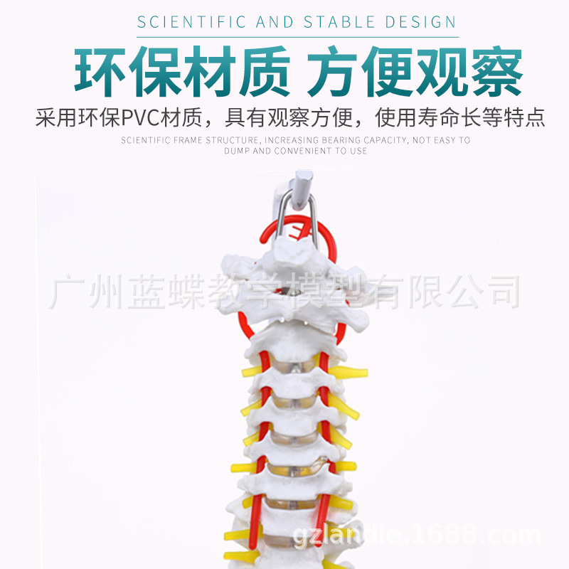 80CM����1��1��Ȼ��׵��׵������ ������׵��׵β׵���ģ��