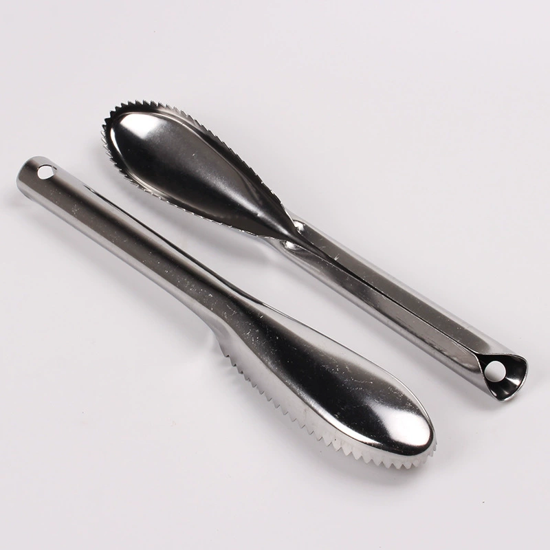Fish scaler stainless steel double-row, ergonomic handle, multi-shape head