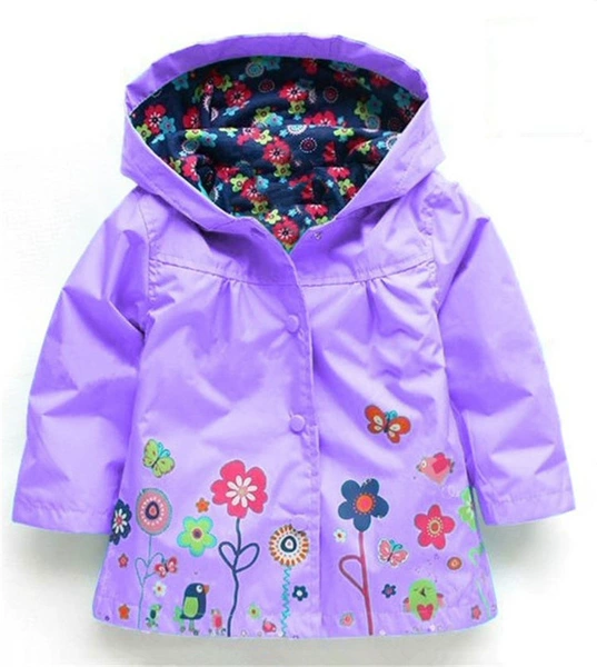 C004 purple