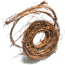 �羳���� �����پ��ٗl ������Ȧ ��Y�����b�Ʒ �}�Q���c�b�Ʒ