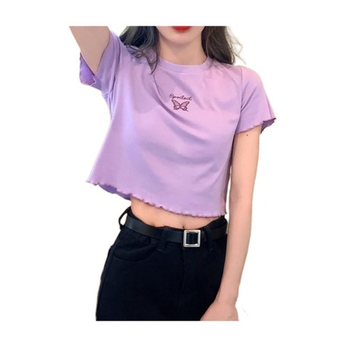 2025 Summer High-Waisted Crop-Top T-Shirt for Women, Slimming and Fashionable, Versatile Butterfly Embroidered Short-Sleeve Top for Women