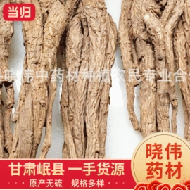 黄芪;参类滋补品;当归