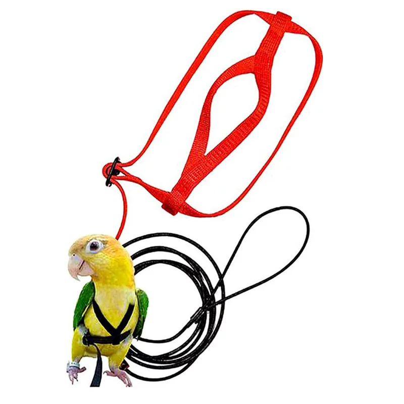 Перьевая вставка - тигриная кожа Хуанфэн направление верёвка Corporal Parrot на тренировке, петли гнуть ремни