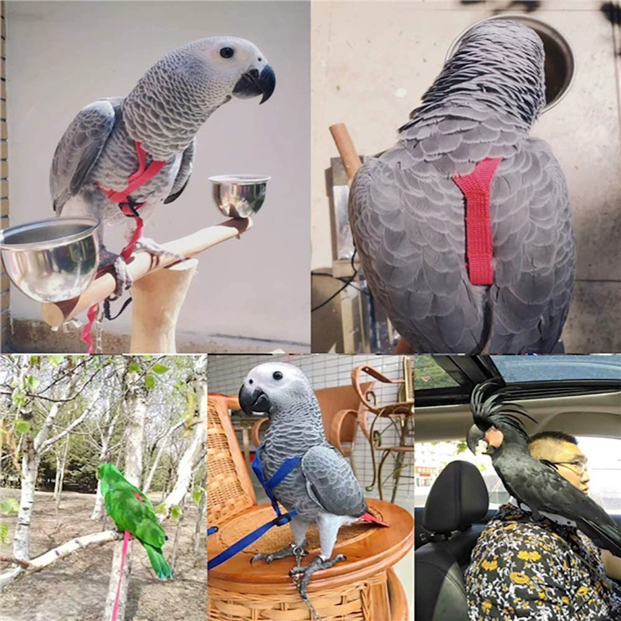 Перьевая вставка - тигриная кожа Хуанфэн направление верёвка Corporal Parrot на тренировке, петли гнуть ремни
