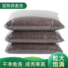 _˹MɢbwƤ^ ̓đ+һl