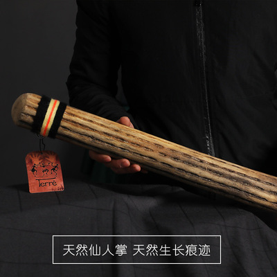 仙人掌雨棍南美智利雨聲器雨聲筒民族冥想小衆樂器德瑞terre雨棒