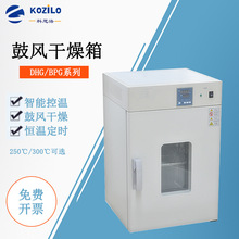 上海干燥箱DHG-9030A/9030B  電熱鼓風干燥箱 實驗室小型烘箱烤箱