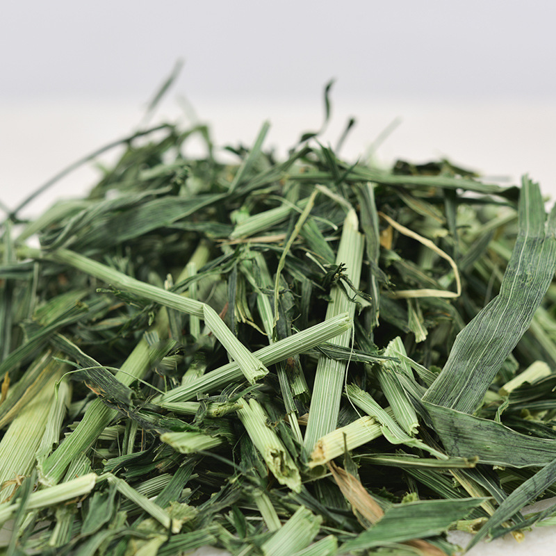 兔子草大麦草段 牧草香绿质量好的大麦草10公斤小兔子磨牙
