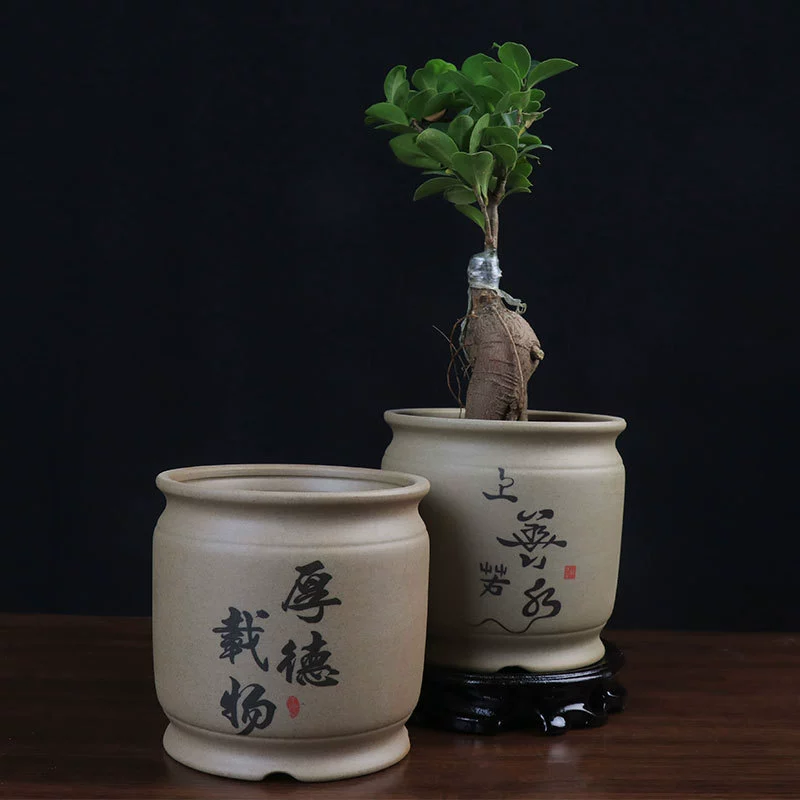 Мясистый цветочный горшок старая куча дерево удачи специальное оформление Творческий Крытый Рабочий стол в китайском стиле грубая керамика дышащая керамика бонсай
