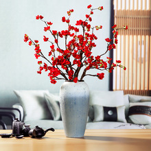 ��Ʒ�|����÷���߶˽����D÷�L֦�������ʽ�ٻ������b�������ˇ