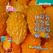 ]ϷNهў|هϷNѽСļr߲˷N