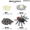 KZ Red Spider Growth cycle B [4 sets of sets]