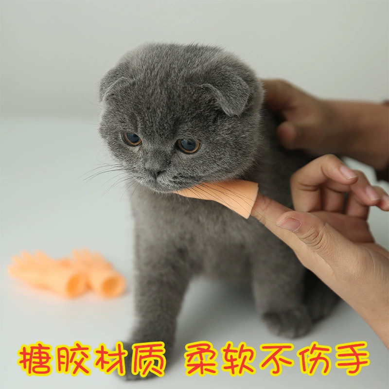 Игрушка, пластиковые творческие перчатки, модель рук, оптовая продажа, питомец