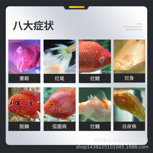 ���c�������~���S�ۼ��\���~���^�p�~�Ꭷ�~�����\��ș�S���ձ�ș