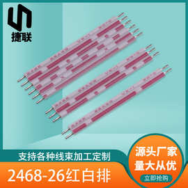 厂家2468-26AWG平行线 2P3P4P6P8P红白蓝白排线 XH转JC排线端子线