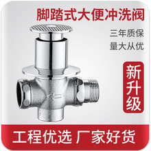 暗装脚踏阀厕所脚踩蹲便器冲水器隐藏脚踏式冲水阀大便蹲坑延时阀