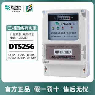 ����DTS256�����ľ���ܱ�DSS256�����������ʽ�й���ܱ����