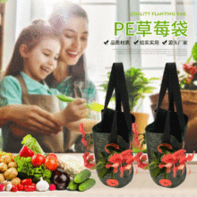 3�Ӂ�pe��ݮ�� 10�ڑҒ�ʽ����ֲ����@���L���@ˇ�Nֲ�����l