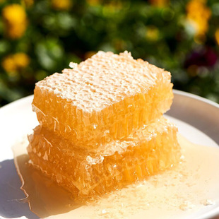 �S�����l�䳲��500g���b���쳲���G�l�۰ٻ������������۷�C��