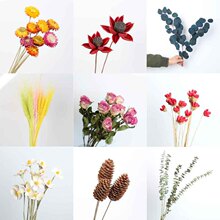 �ɻ��������տ�õ��M�����r���ȼ����~�޻��廨DIY���� �Ҿ��b�