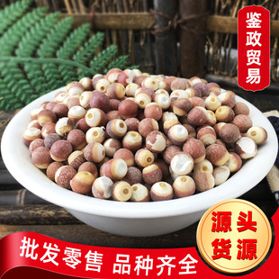 �a��؛Դ�͌������ؑc�͌�ɢ�b�u�^�� ���NҎ���͌���500gL