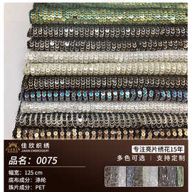 佳欣纺织秋冬新款涤网底布3-5PET珠片直线绣 鱼鳞片条纹亮片面料