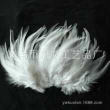 �S�����l��ɫ�uë��ë ��ɫ��ë ��ë �r�Bë ��ȸë�|�����C