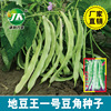 Dian Dou King No. 1 Seeds without sheets of bean horn seeds white wide -flat kidney bean easy planting potted vegetable garden spring and autumn rapeseed