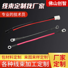 联接电子线器端子线 电子线束加工定制 可定做DIN/ZIF/1394等连接