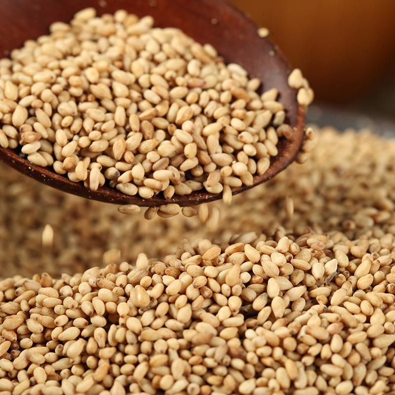 金群厂家炒熟白芝麻现货批发 带皮熟白芝麻 袋装即食芝麻批发