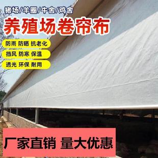 �Bֳ�������Ӻ���pe���i����ɫ��ˮ���L�����ϻ����l��ꖲ�