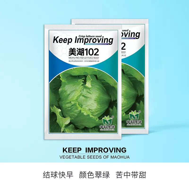 中科茂华蔬菜种子美湖102结球生菜种子耐抽苔中熟叶色翠绿球形美