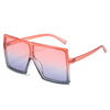 Trend glasses, fashionable multicoloured sunglasses, European style, plus size