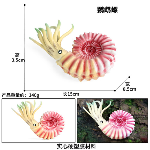 Simulated marine animal model children's toys ancient strange shrimp, nautilus, trilobite, right-angle stone ornament set