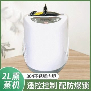 家用2L熏蒸机 熏蒸仪桑拿蒸汽机 美容发汗熏蒸仪厂家