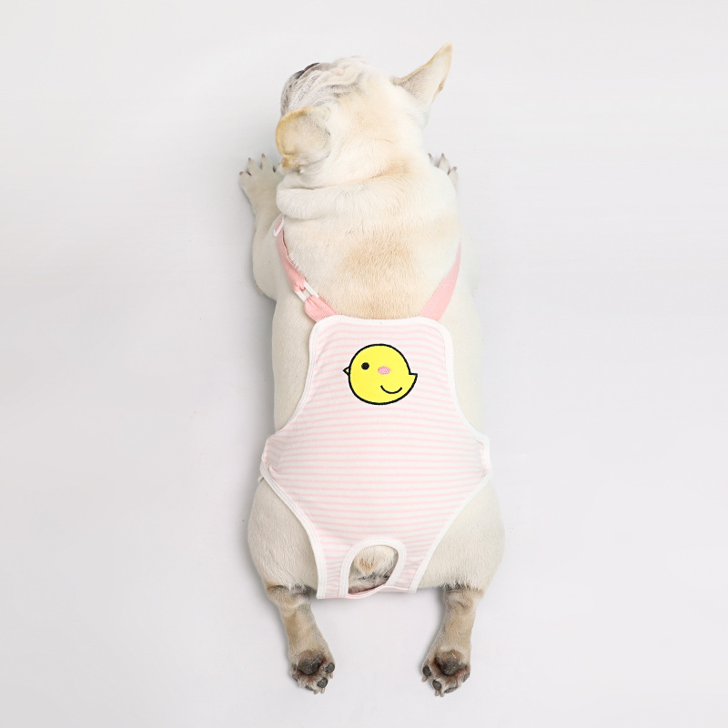 Venta al por mayor perro pantalones fisiológicos cachorro hembra perro tía toalla francés cubo Corgi menstrual período de vacaciones correa para mascotas pantalones fisiológicos image 6