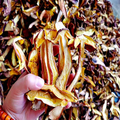 Yunnan specialty bulk dried red onion mushrooms, dried red onion mushrooms, dried red onion mushrooms, wholesale in bulk, shipped directly from the factory